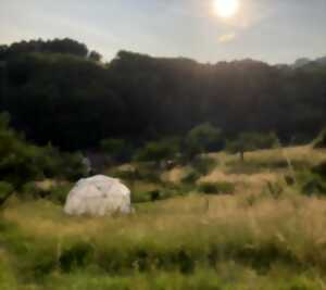 photo Week-end stage permaculture