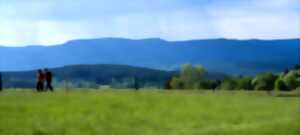 photo Sentiers Plaisir : Le Champ du Feu, un joyau de la nature