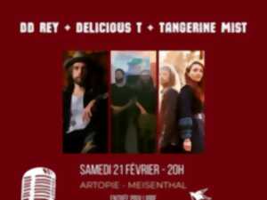 photo Concert DD Rey + Delicious T + Tangerine Mist