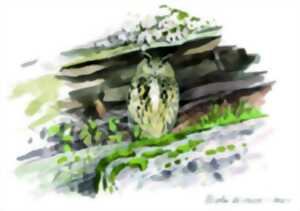 photo A la découverte des chouettes et des hiboux des Vosges du Nord