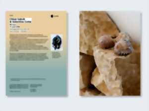 photo DUAL - sur une proposition du Collectif RIVETÉ - Duo show Valentine Cotte & Chloé Saksik