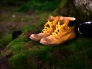 photo Sortie avec le Club Vosgien du Kochersberg : Autour de Grendelbruch