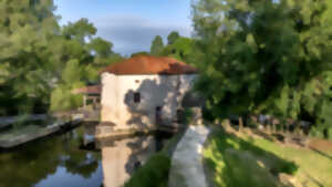 Moulins en Fête - à la Maison de la Dronne