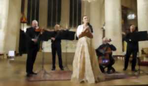 photo Violons de Prague