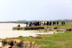 photo P'tite sortie prés salés