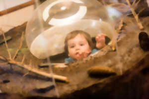 photo Visite guidée du Vivarium du Moulin