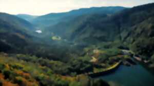 photo Randonnée : L'âge de glace dans la Vallée de la Doller