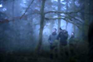 photo Film - Le Chant des forêts