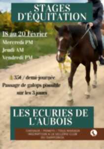 photo Stage d'équitation