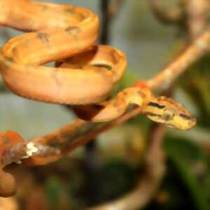 photo Jeu de piste au Padiparc