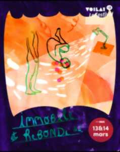 photo Spectacle 'Immobile et Rebondi #2'