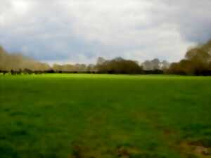 photo Partons découvrir le bocage et les prairies inondables