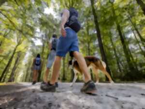 photo Randonnée muguet