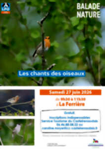 photo Les chants d’oiseaux