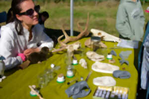 photo Sur la piste des animaux : empreintes et compagnie | Nouveauté 2026