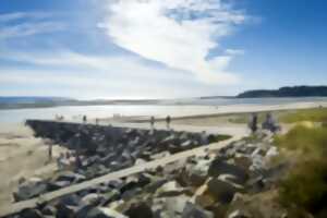 photo Collecte de déchets