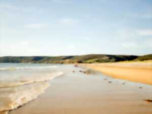 photo Collecte de déchets