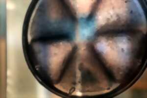 photo P'tite visite sur l'infiniment petit