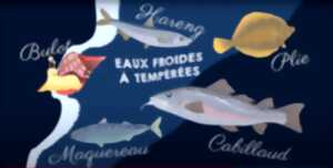 photo P'tite visite sur les poissons