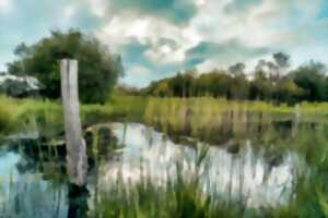 photo Collecte de déchets