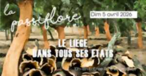 photo Foire aux plantes 