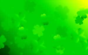 photo Soirée Saint-Patrick