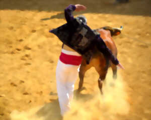 photo Découverte et initiation course landaise