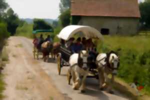 photo Balade attelée à Carteret