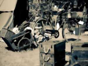 photo Spectacle immersif