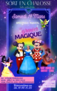 photo Spectacle Disney