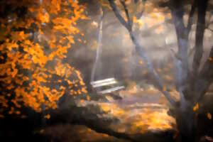 photo Exposition – Les tableaux photos de Laetitia Larquier