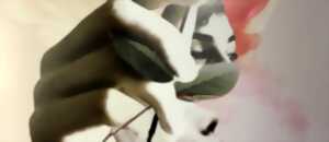 photo SORORITÉ : VOIX DE LIBERTÉ !