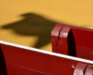 photo Visite guidée : Corrida