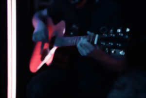 photo Concert Sally & The Ducks à l'Auberge du Séquoïa