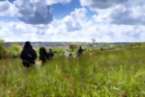 photo Sciences en famille : les amphibiens