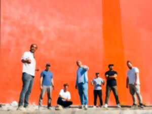 photo Concert - Dub Inc