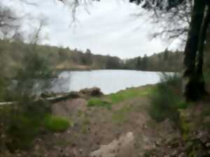 photo Fête de la nature : « Trop Sauvages »