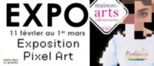 photo Exposition Pixel Art