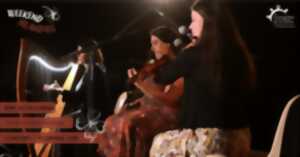 photo FLOWING TIDE - CONCERT IRLANDAIS