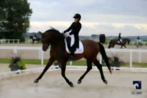 photo Equitation – Concours de dressage