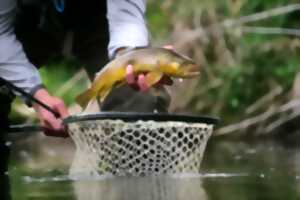 photo Pêche spéciale truite