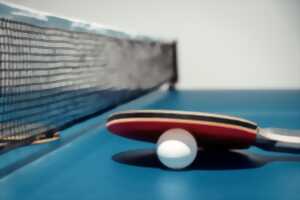 photo Tournoi de tennis de table et repas