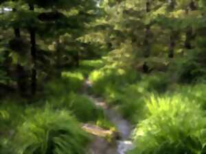 photo Sentiers Plaisir : Accident de frontière - la Croix Brignon