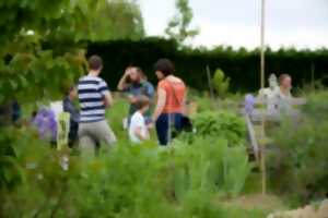 photo Stage permaculture