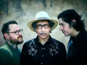 photo Kid Congo & The Pink Monkey Birds