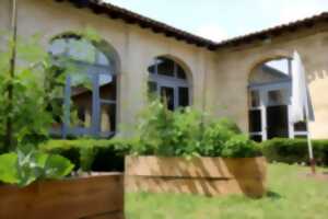 photo Atelier couleur végétale à la médiathèque de St André