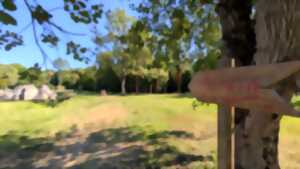 photo Visite du jardin des plantes médicinales de l’abbaye à Vauclair