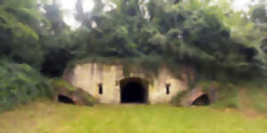 photo Sortie nature à Mons-en-Laonnois : 