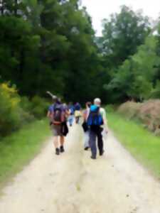 photo Initiation aux chants d'oiseaux