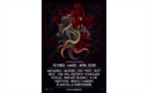 photo Pink'Art skating + concert